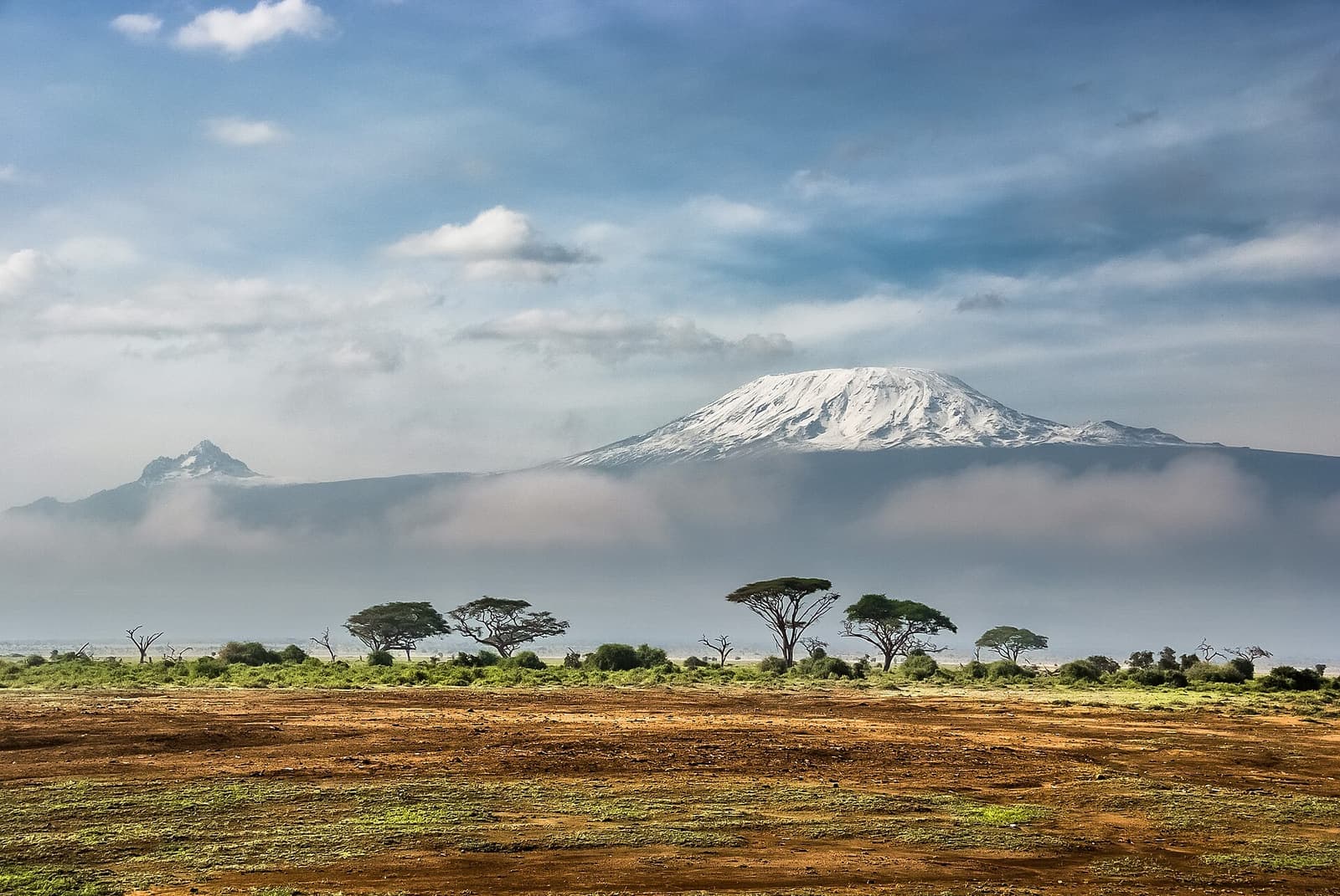 Elephants crossing the plains of Amboseli