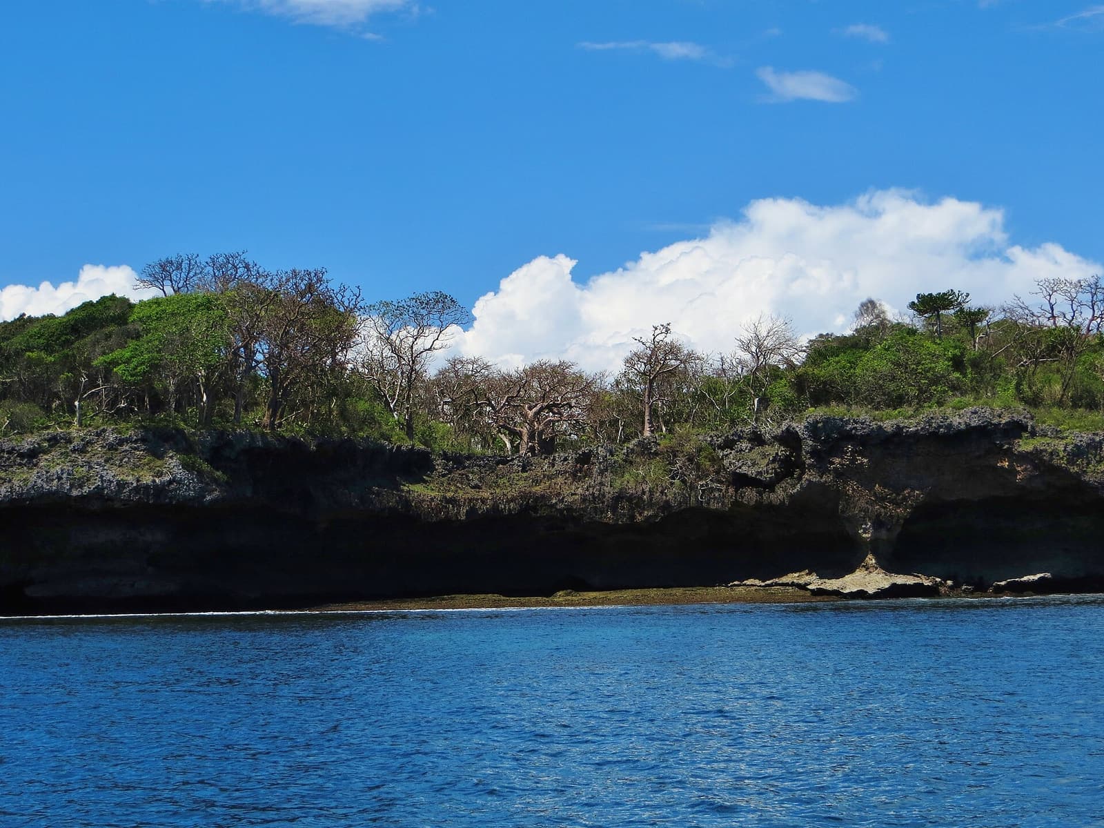 Wasini coast