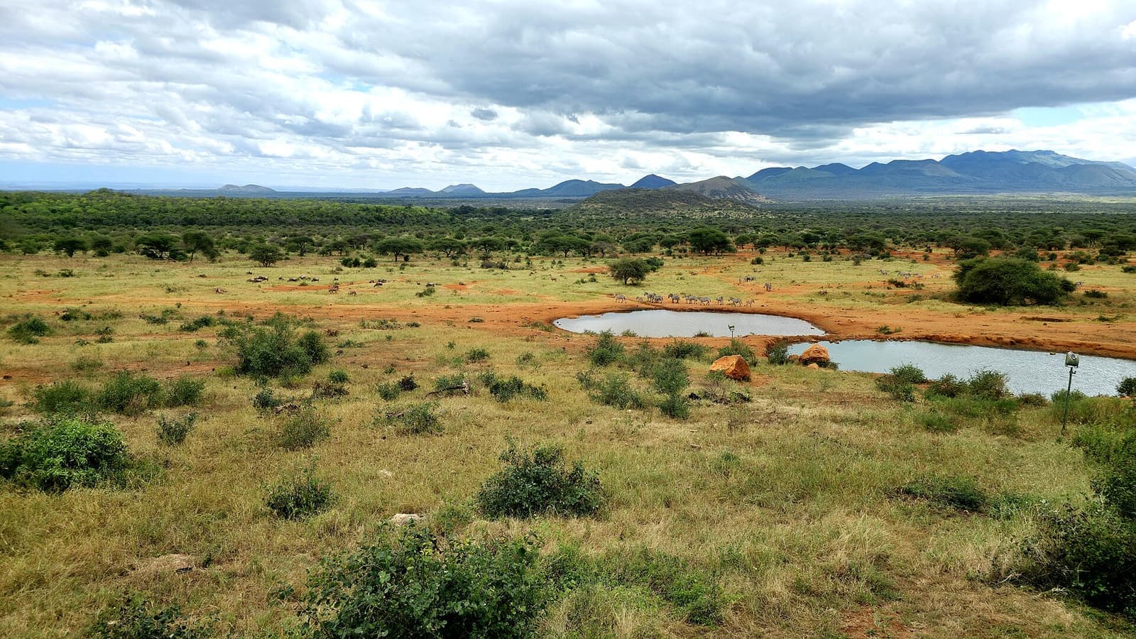 Tsavo West National Park, Kenya, 2025