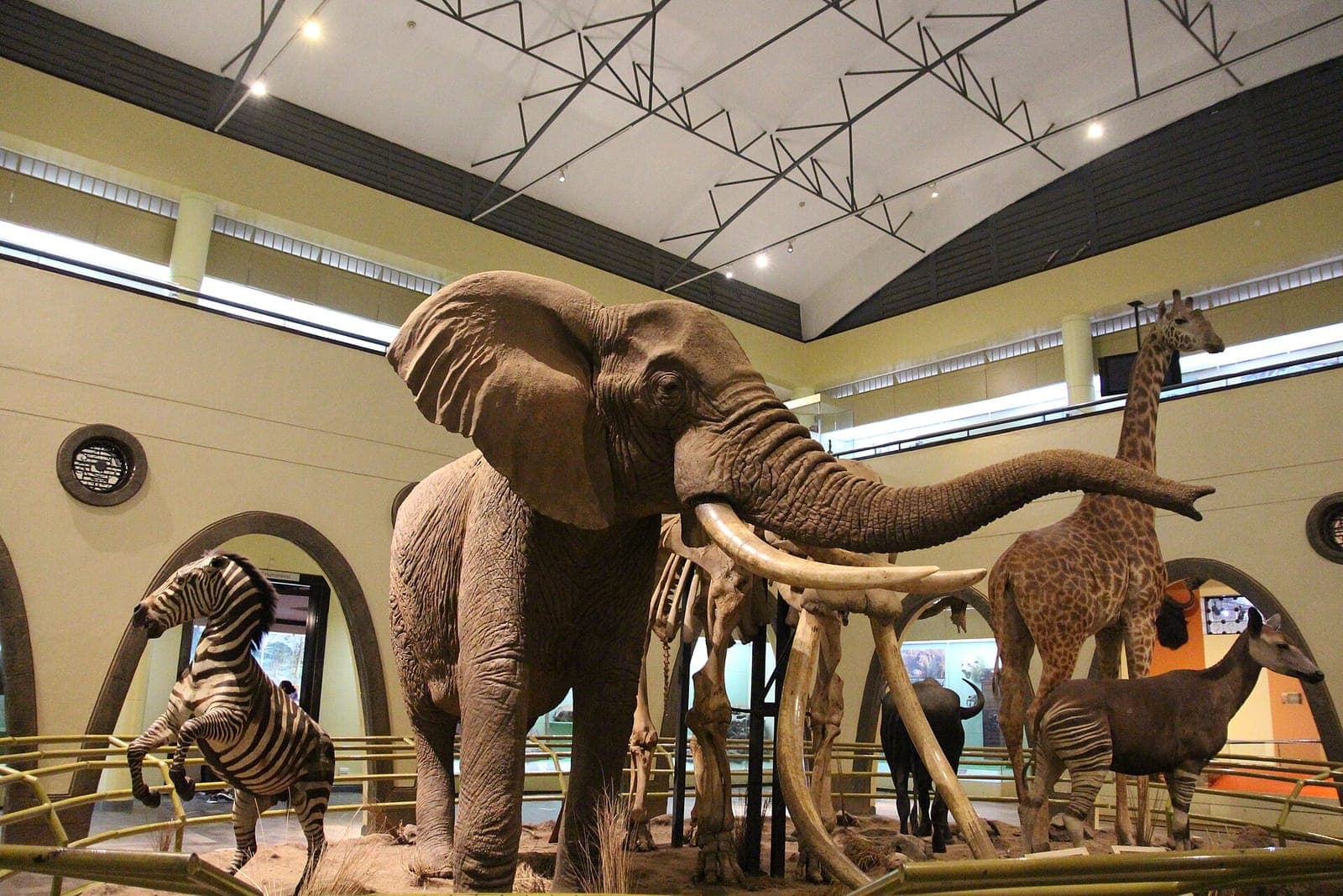 Replicas of an elephant and other animals at the Nairobi National Museum in Kenya
